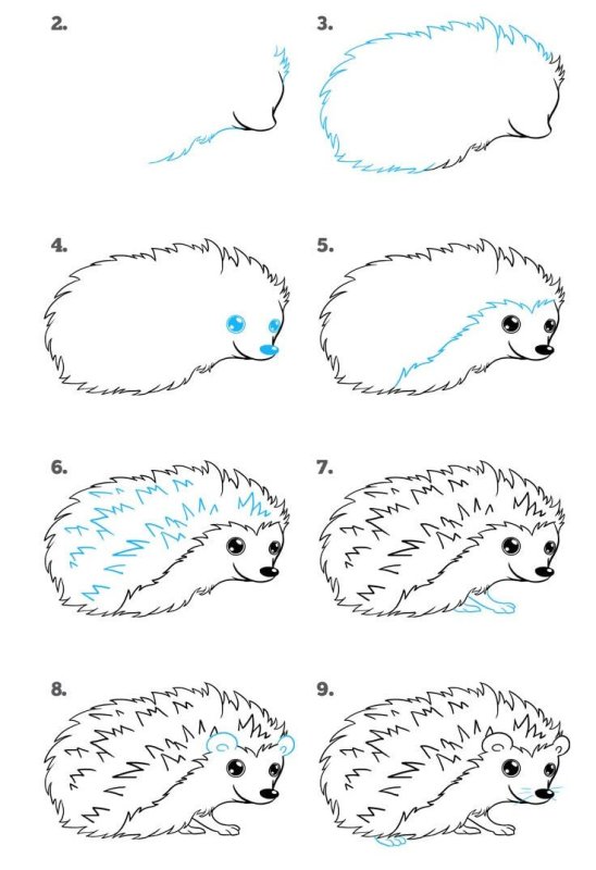 Рисование еж