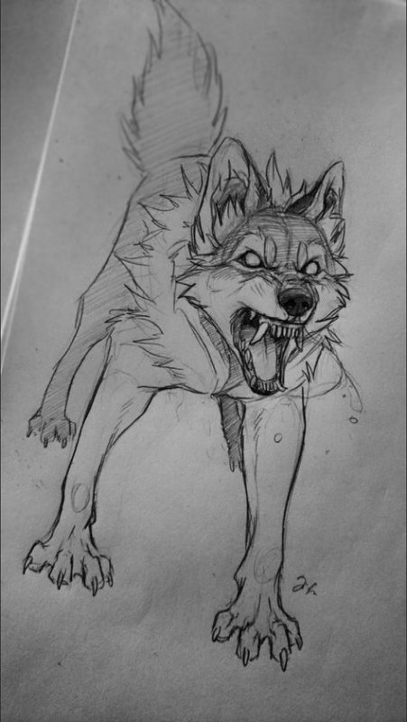 Рисунки Волков карандашом