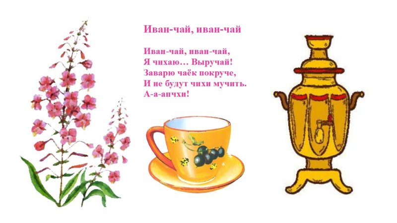 Иван чай надпись