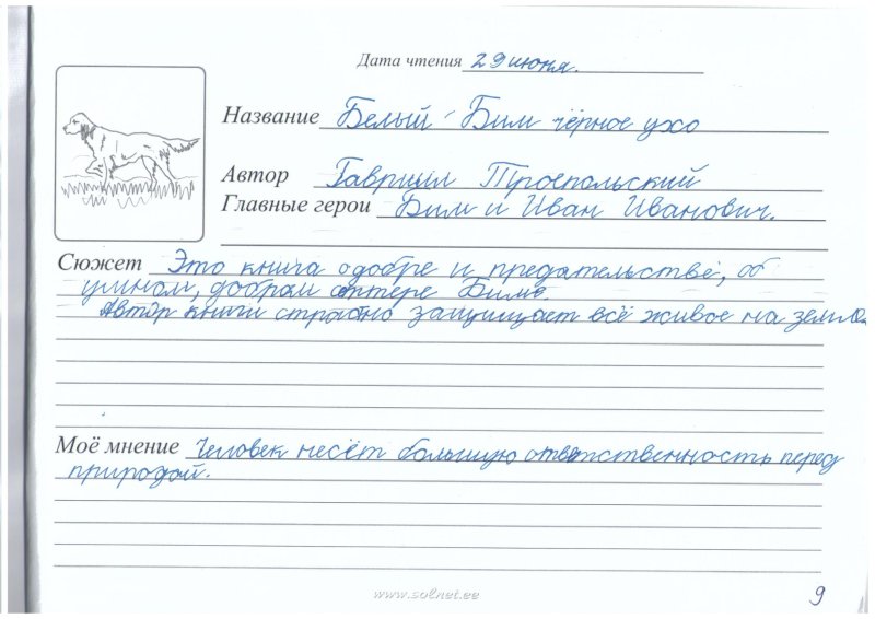 Литературный дневник