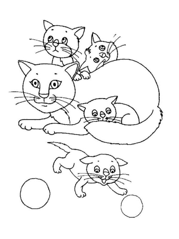 Кошки. Раскраска