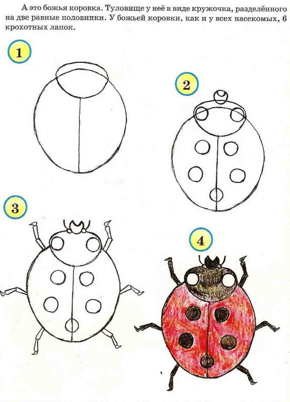 Рисование Божья коровка