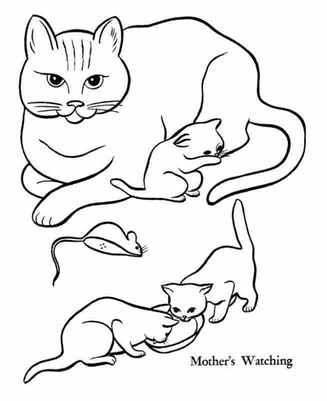 Кошки. Раскраска