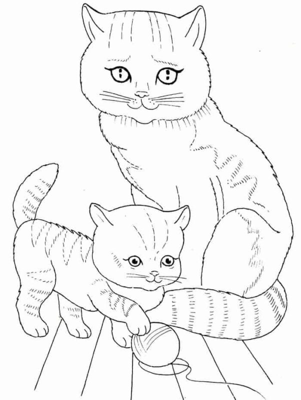 Раскраска кот