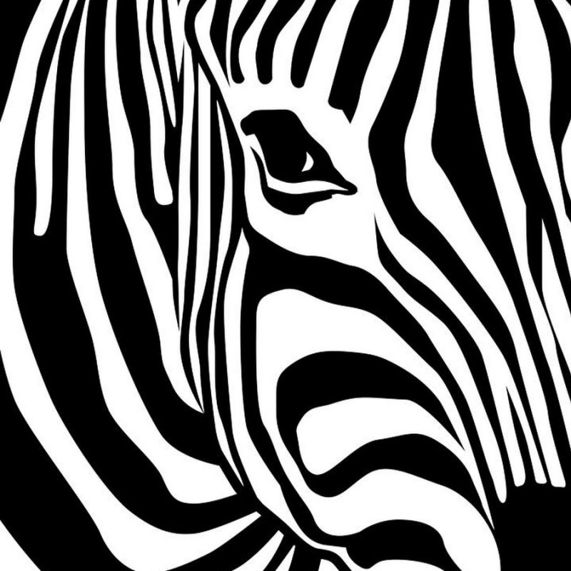 Зебра силуэт