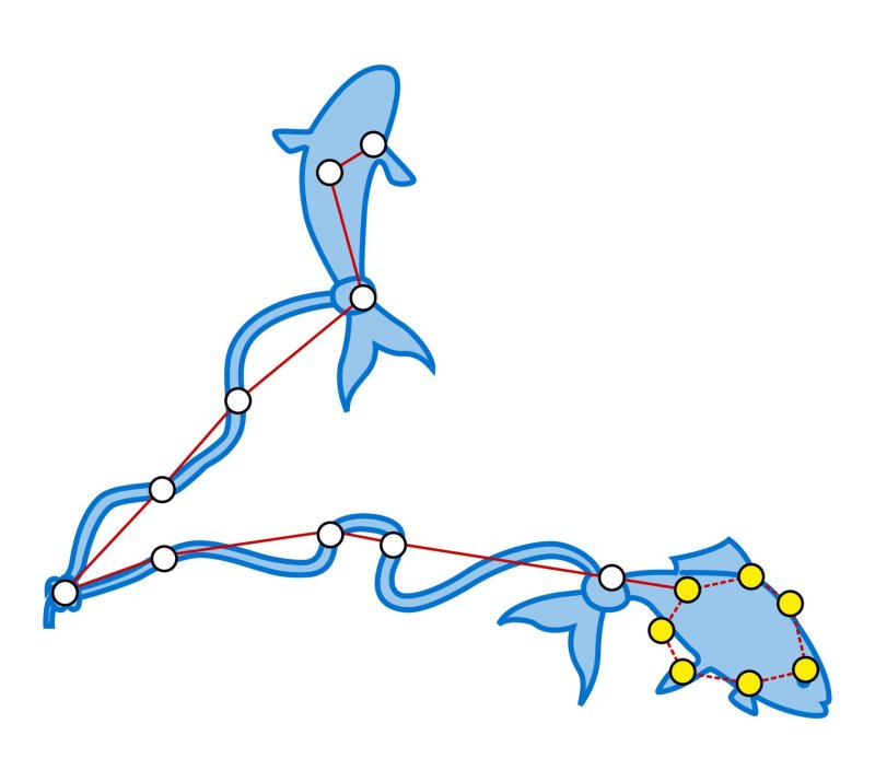 Созвездие рыбы Pisces