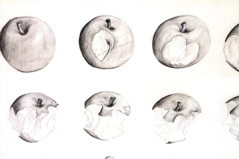 Референс яблоко рисунок карандашом