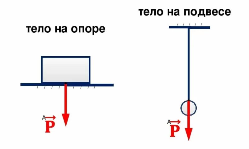 Вес тела чертеж