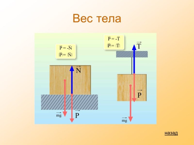 Вес тела рисунок