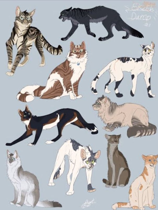 Коты Воители референс
