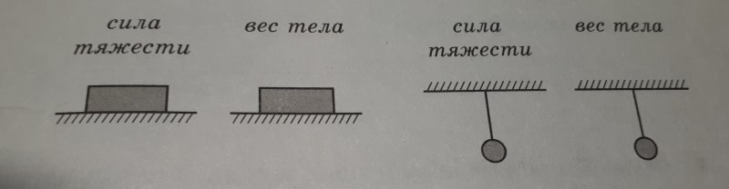 Вектор силы тяжести и веса