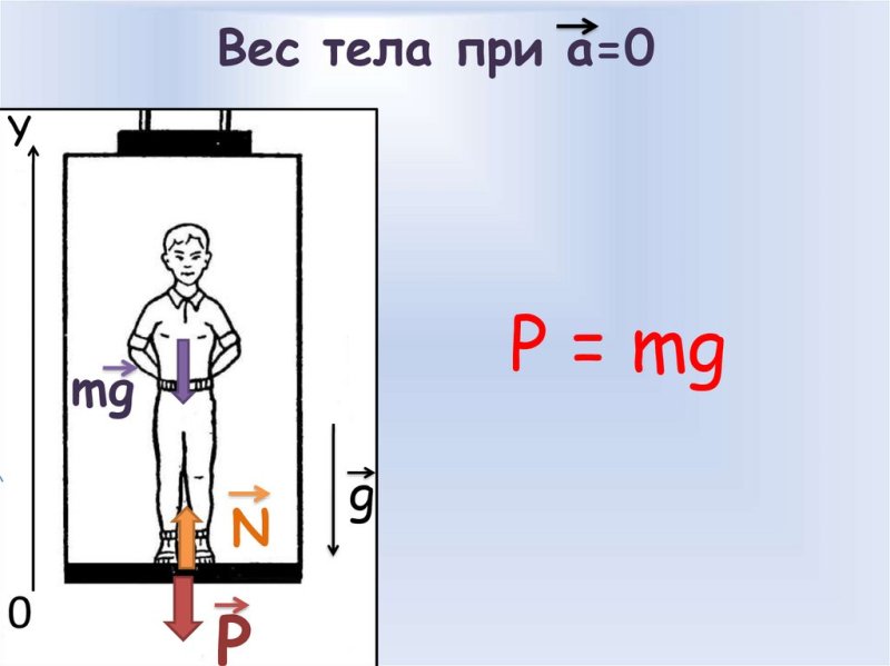 Вес тела