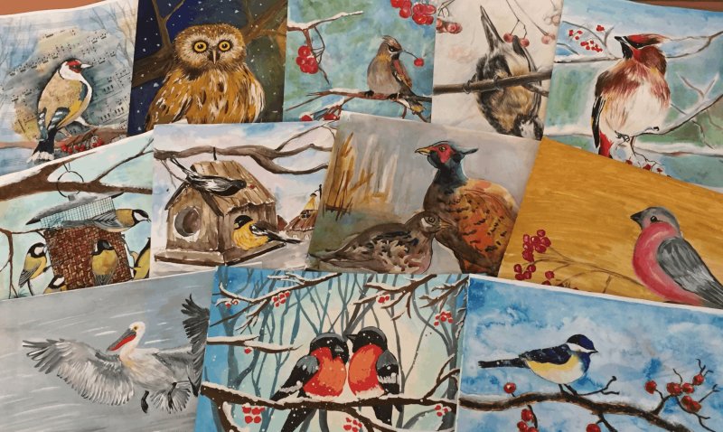 Конкурс рисунков птицы наши друзья