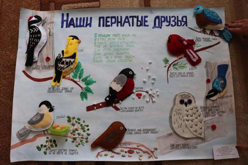 Плакат Международный день птиц