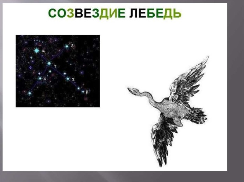 Созвездие лебедя на небе