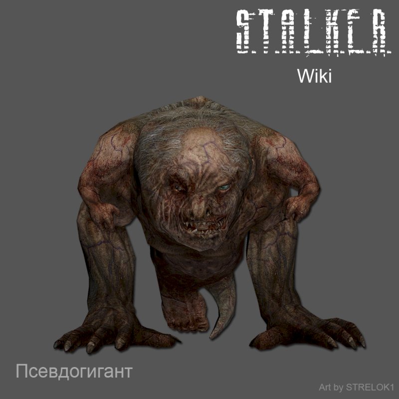Сталкер псевдогигант огромный