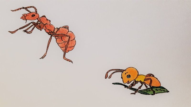 Муравей рисунок