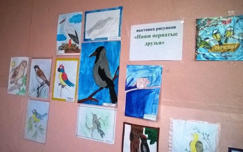 Пернатые друзья выставка