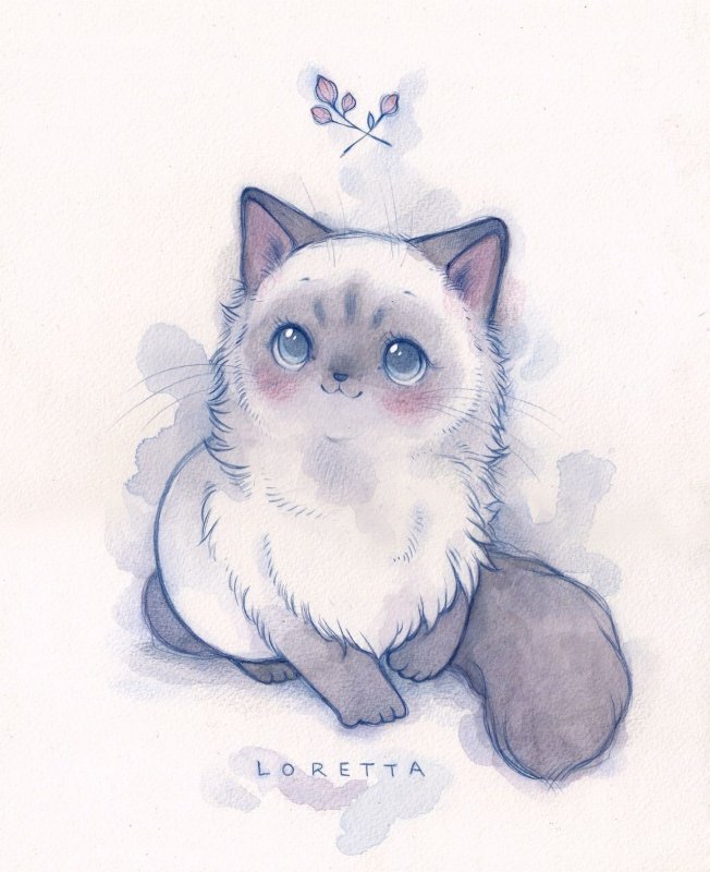 Рисунки котов для срисовки