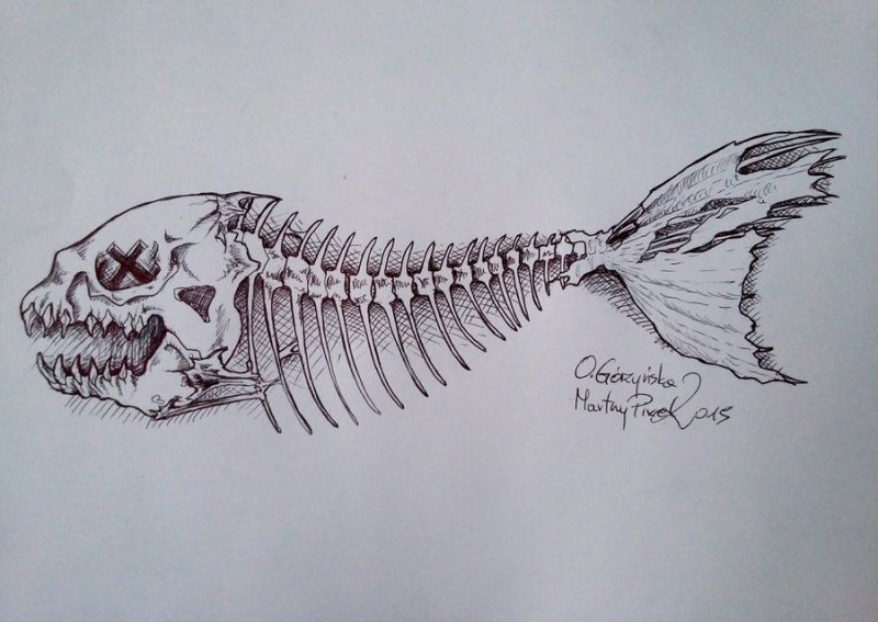 Скелет рисунок