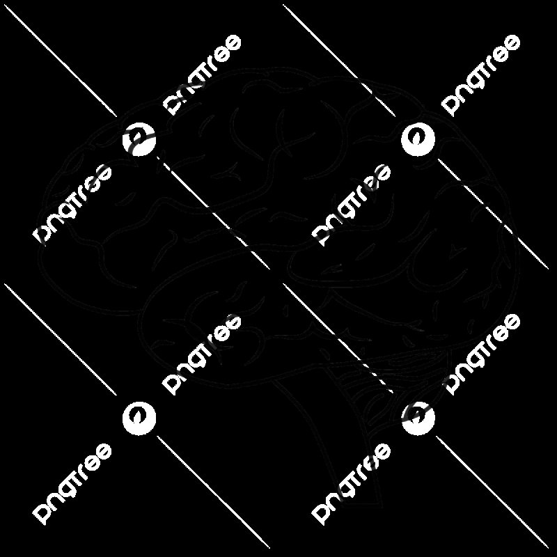 Мозг человека рисунок карандашом