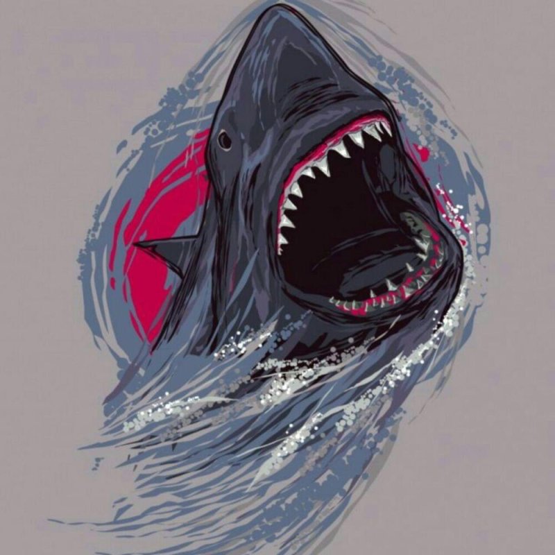 акула арт