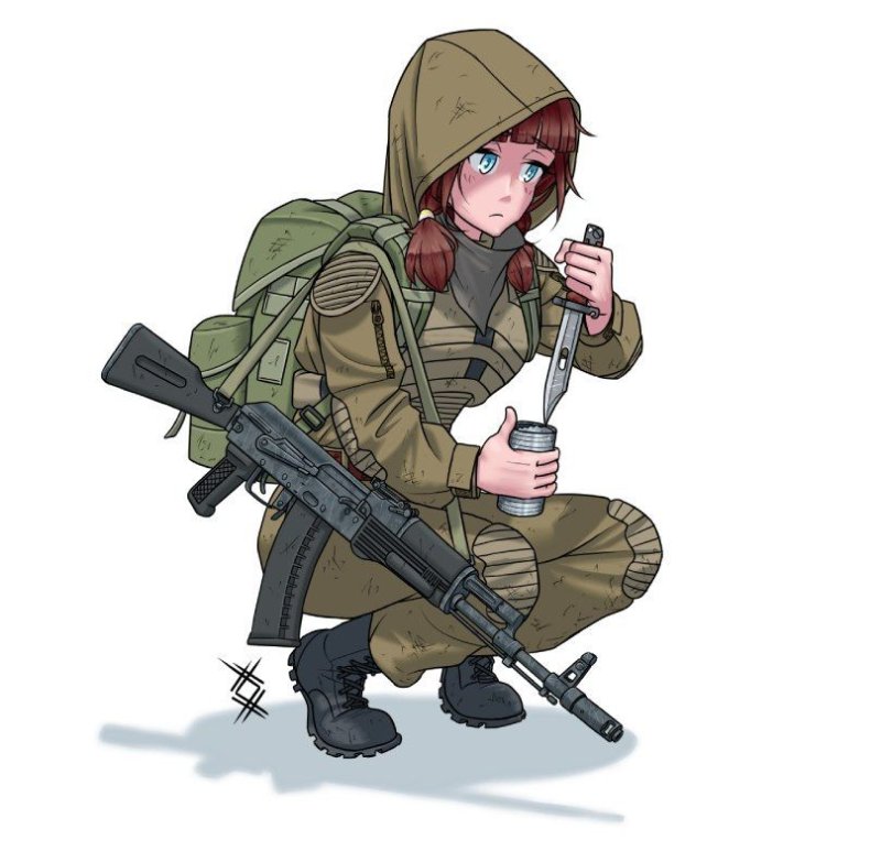 Сталкер тян арт