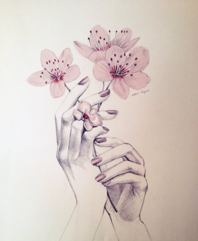 Эстетика рисунки
