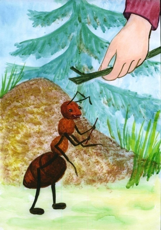 Муравейник рисунок