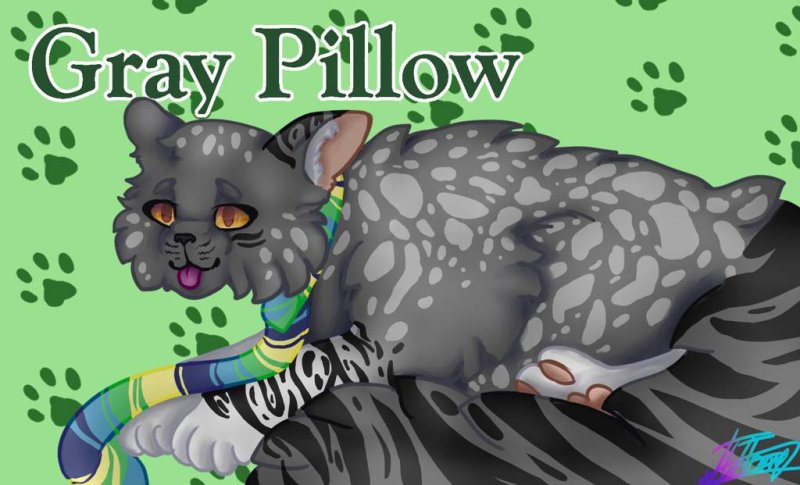 GRAYPILLOW коты Воители