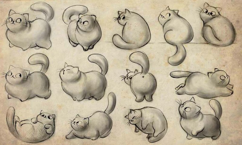 Котик скетч