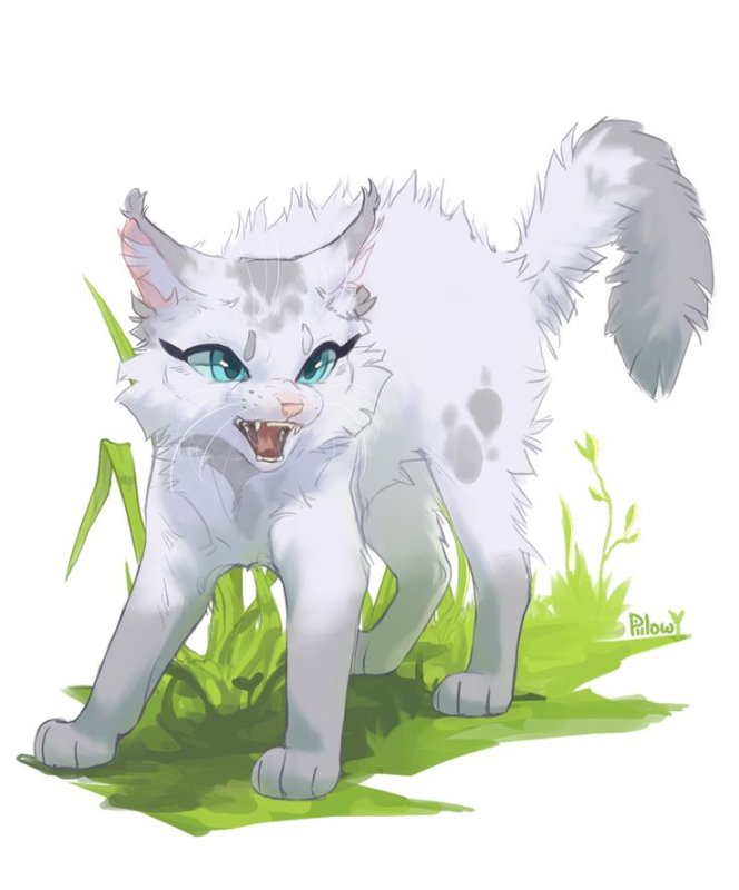 Коты Воители Белогривка