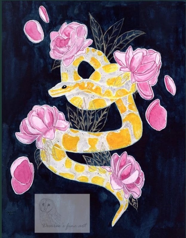 Королевский питон арт