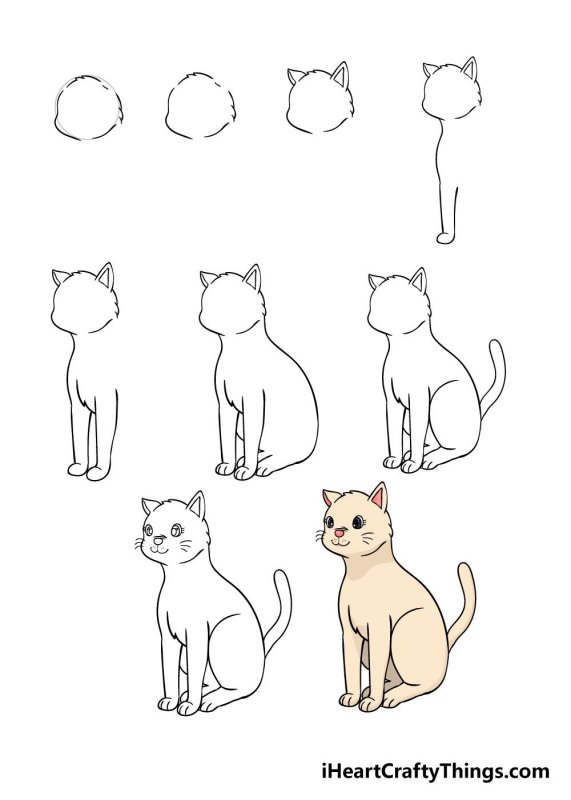 Этапы рисования кошки