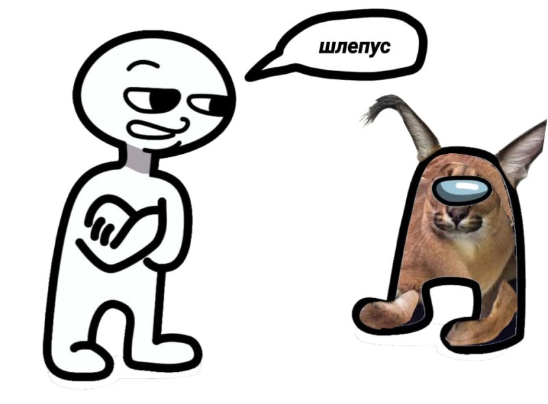 Шлёпа блоптоп