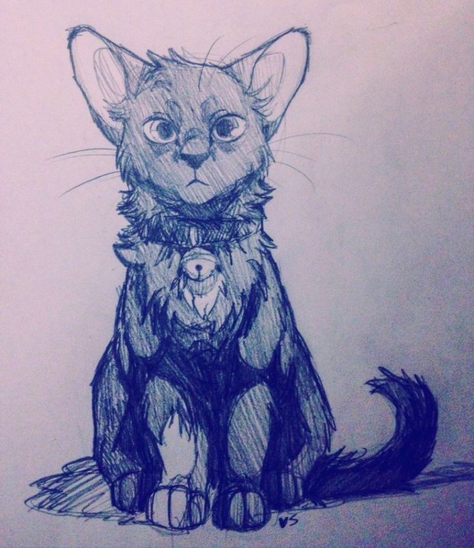 Кот арт