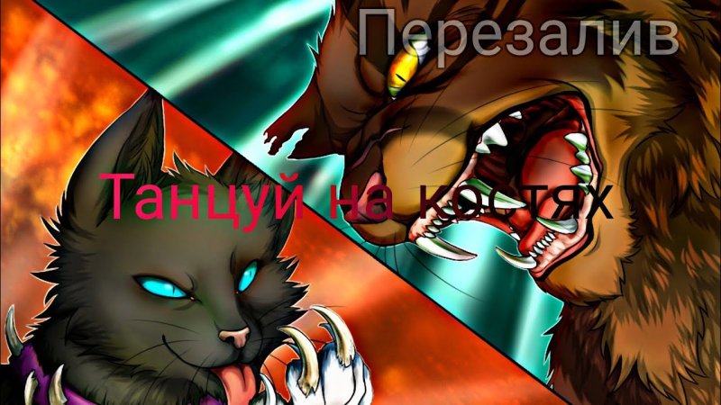 Коты Воители Звездоцап