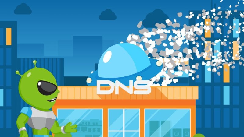 DNS эмблема