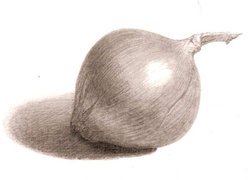 Лук карандашом