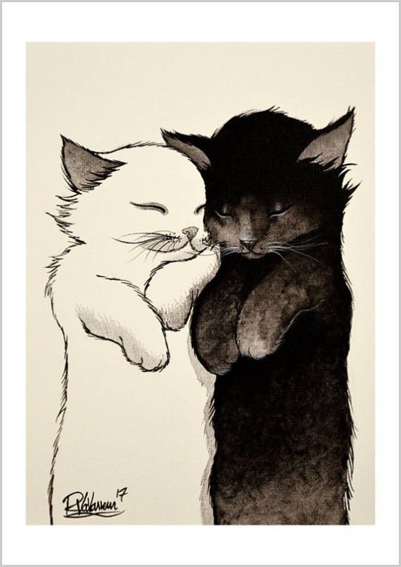 Кошки любовь