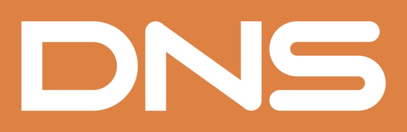 DNS логотип