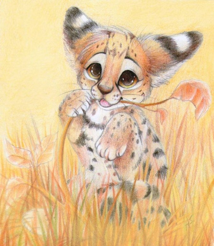 Оцелот и сервал