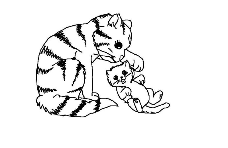 Котенок. Раскраска