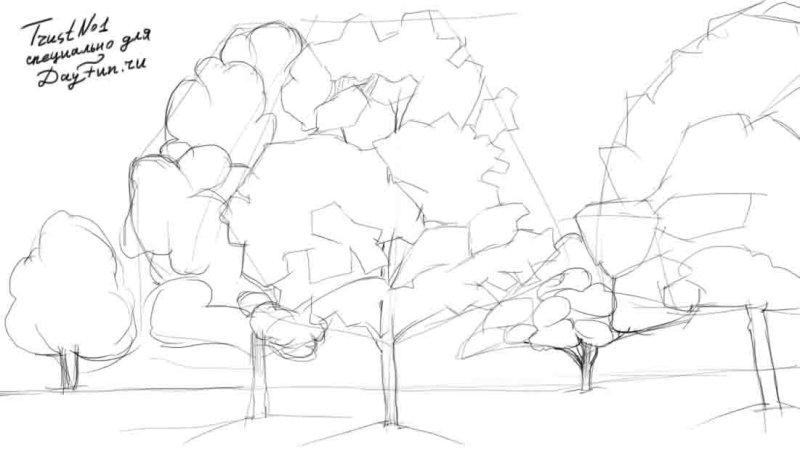 рисовать дерево карандашом