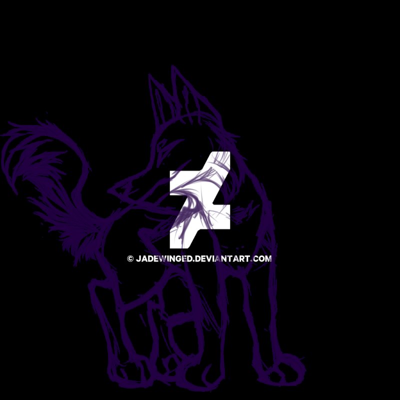 Рисунок волка карандашом для срисовки