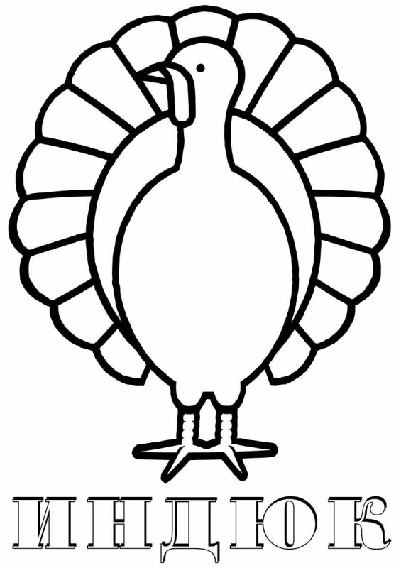 Трафарет индюка
