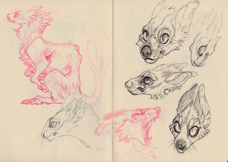 скетчи животных