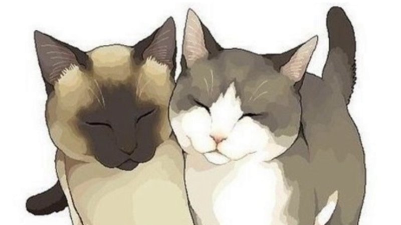 Аниме коты