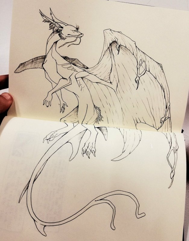 Рисунок дракона для срисовки