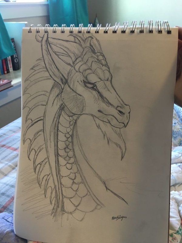 Красивые рисунки для скетчбука животные